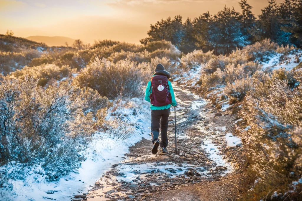 Girl Pilgrim Hiker on the Snow Winter Mountain Forest  Evening on the Way of St James Pilgrimage Trail Camino de Santiago outside El Acebo at Sunset