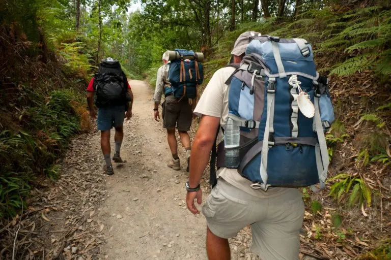 Grupo de peregrinos en el Camino de Santiago entre Santiago de Compostela y Negreira.