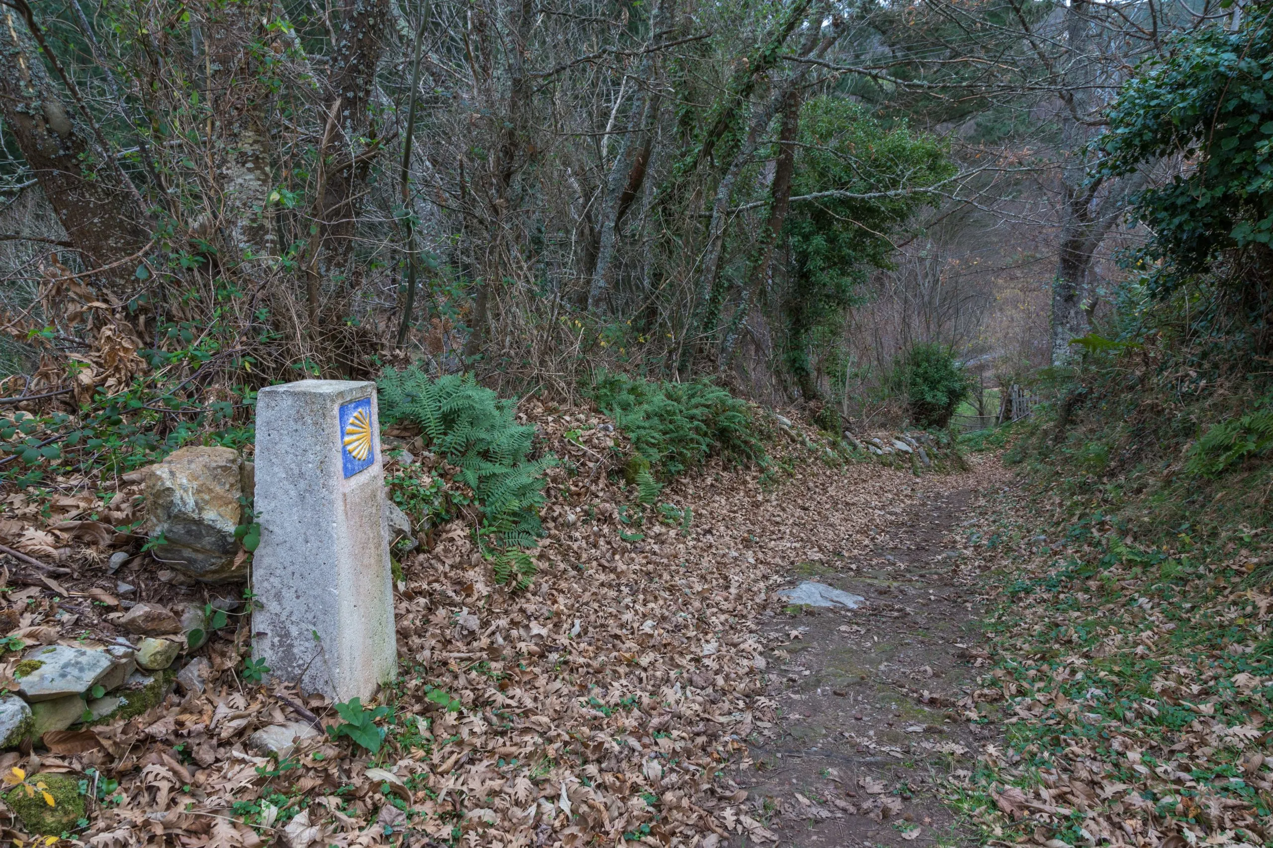 Road sign near Pola de Allende and Ferroy on the Camino Primitivo in Spain