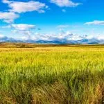 Beautiful May agricultural landscape on the Camino de Santiago, Way of St. James between Najera and Azofra in La Rioja, Spain